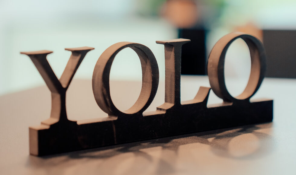 Yolo 007 2 e1776870678428